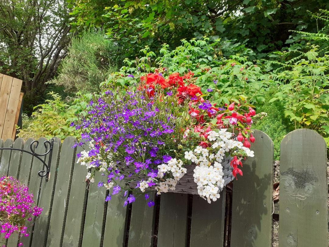 Torrent Cottage Coalisland Екстериор снимка